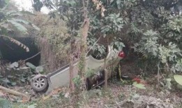 玉林博白新闻爆料,揭秘博白县最新动态与热点事件